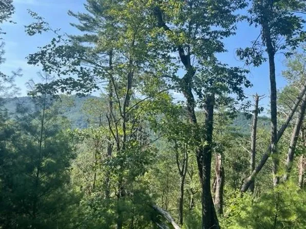 43 Ridgeview Run, Suches, GA 30572