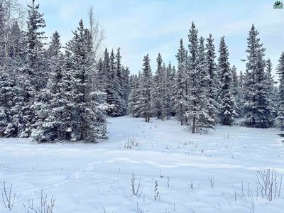 L10-B13 Kimball St, Delta Junction, AK, 99737