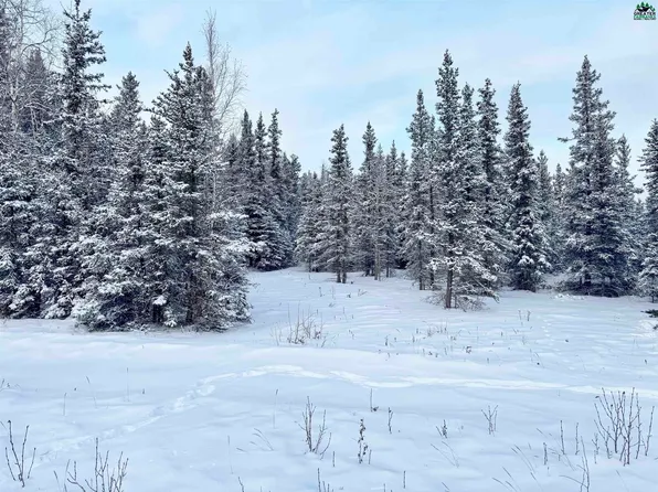 L10-B13 Kimball St, Delta Junction, AK 99737