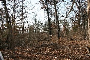1st image of LOT 15 E Persimmon Point
