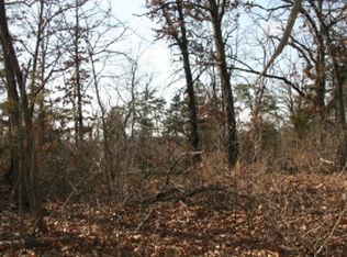 LOT 15 E Persimmon Point, Lead Hill, AR 72644