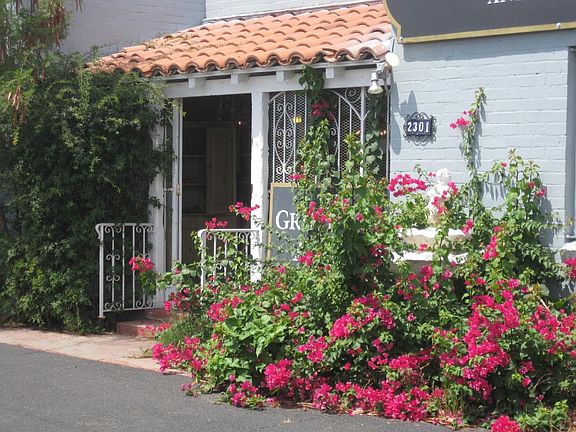 Prolific bouganvilla AFTER the summer HEAT is over!...