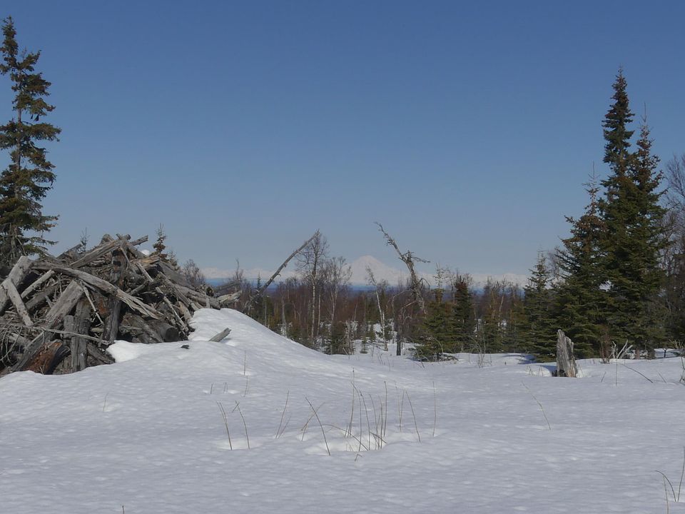 14953 Jesses Trl, Ninilchik, AK 99639 MLS 216498 Zillow