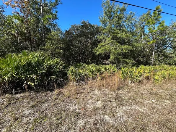 632 N Dunkenfield Ave Lot 13, Crystal River, FL 34429