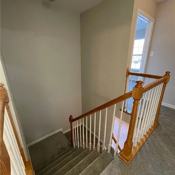 7806 Fern Hollow Dr — Photo 13
