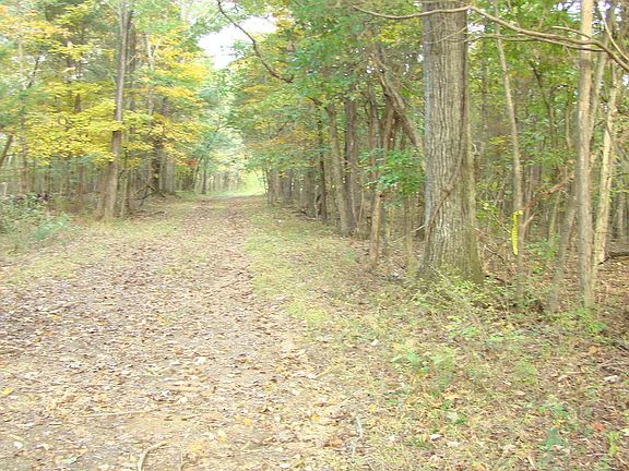 3rd image of 0 Highway 64 Lot 2