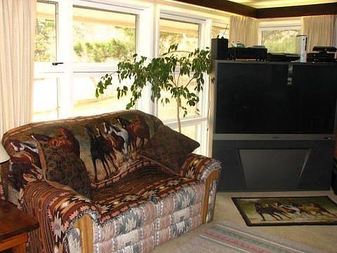 Sunny windows in Living room