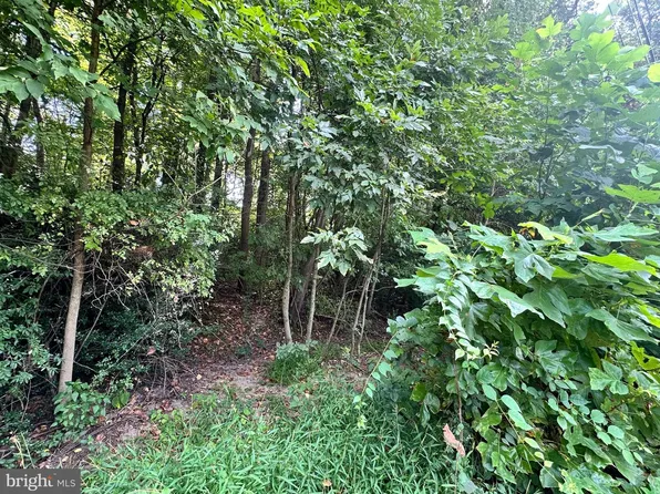 1 Elizabeth St, Elkton, MD 21921