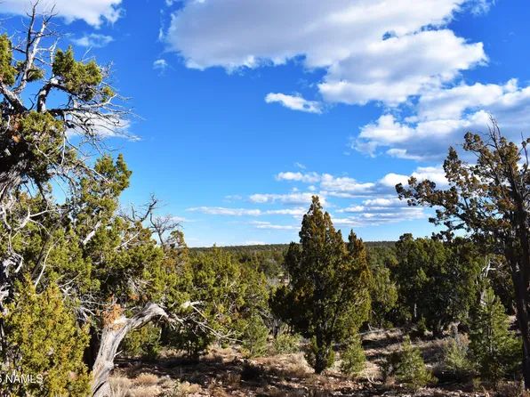 4367 Sunset Ridge Loop, Happy Jack, AZ 86024