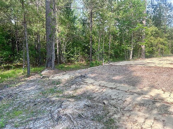 3rd image of 72 Shady Creek Rd