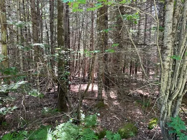 Lot 004 Dority Farm Road, Mariaville, ME 04605