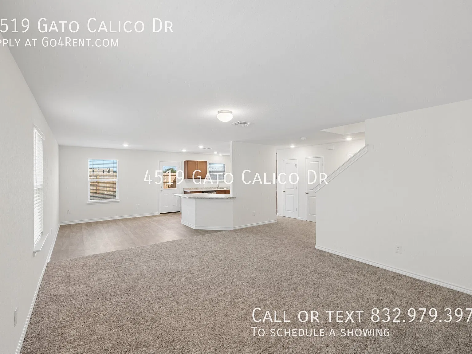 4519 Gato Calico Dr — Photo 3