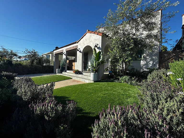 Front yard