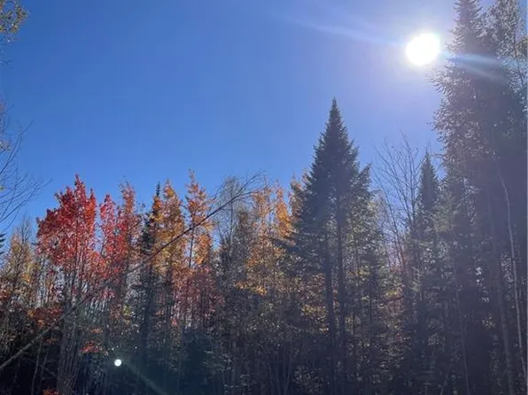 LOT Bells Mills Rd, Richibucto, NB E4W 2J4