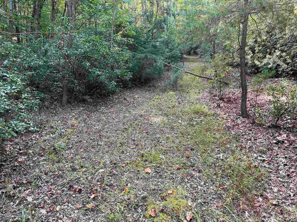 TBD SALLINGS MOUNTAIN RD, Glasgow, VA 24555