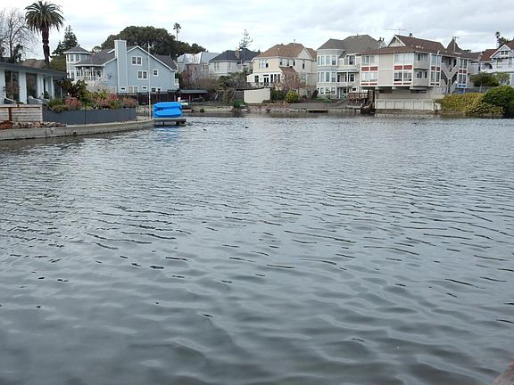 View from Sun Room and Back yard