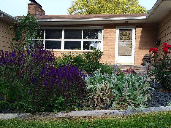 SUMMER 2015 front garden