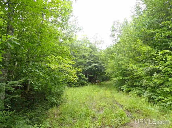 320 Acre Off Co Rd #510, Marquette, MI 49855