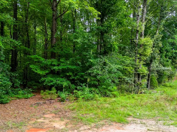 107AC Tyson Rd, Bracey, VA 23919