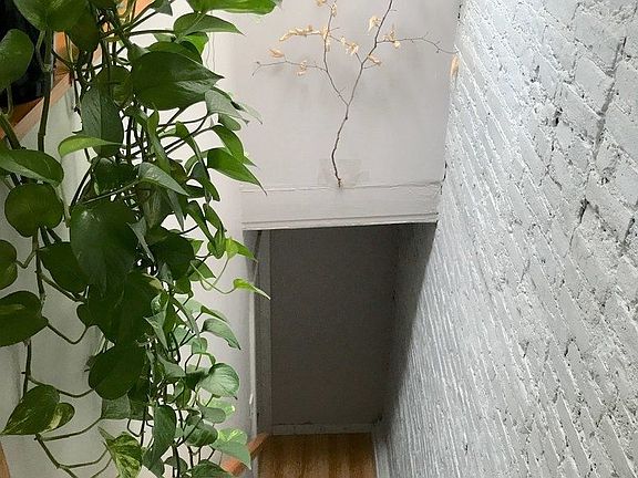 5th image of 120 Gates Ave #3