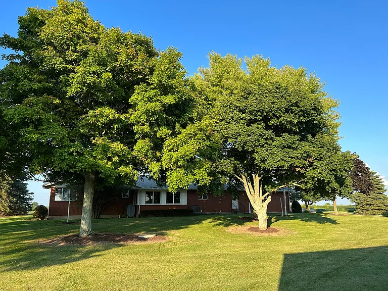 Backyard trees provide shade