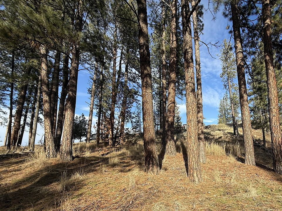 1st image of N Adams St