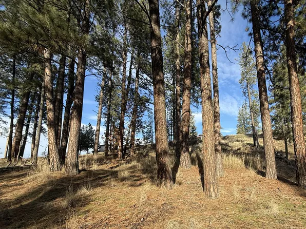 N Adams St, Republic, WA 99166