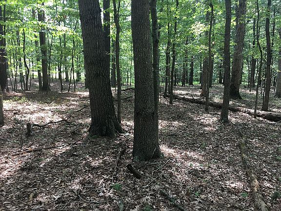 5th image of 0 White Oak Dr Lot 16