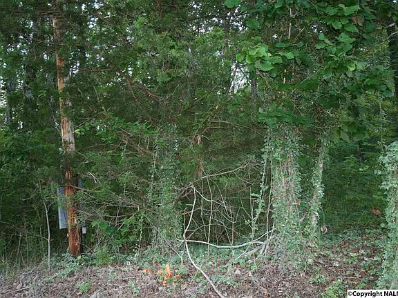 3rd image of 2129 County Road 17