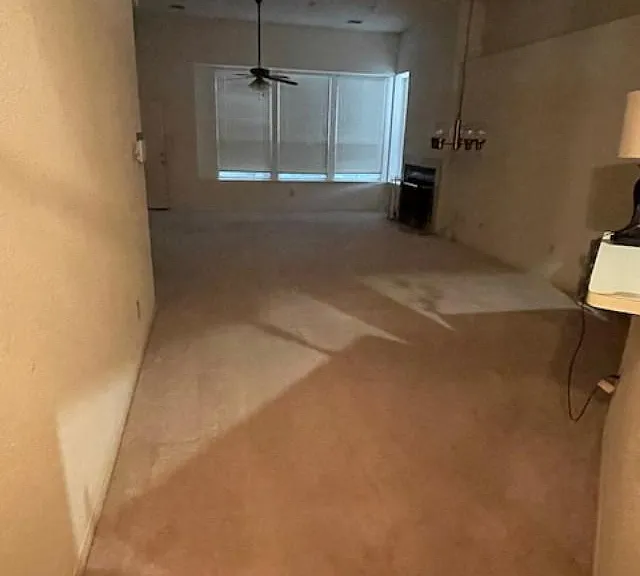 2902 Pioneer Pass — Photo 5
