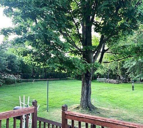 Wood Deck and Backyard