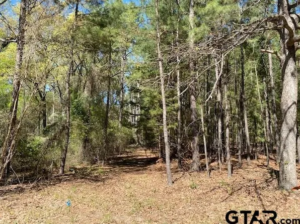 Armadillo Dr, Murchison, TX 75778