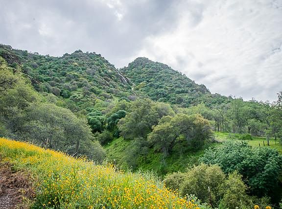 2nd image of 42360 Corral Dr