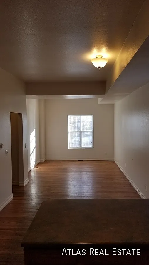 Beautiful Highland Turn of The Century Home! Hardwood Floors, Urban Garden, Huge Open Kitchen/Liv... — Photo 3