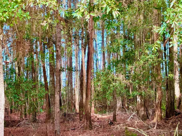 0 SW Lot 155 St, Starke, FL 32091