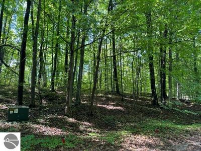 Jaeger Strasse LOT 287, Bellaire, MI, 49615