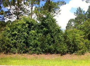 23 Wood Center Ln, Palm Coast, FL 32164