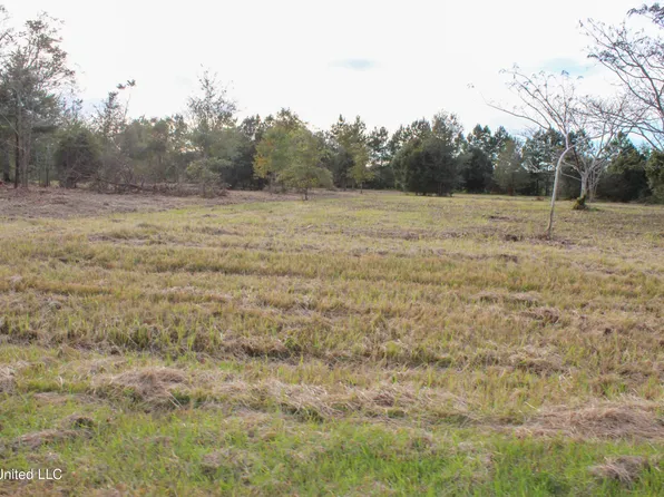 Misty Ln Lot 8, Lucedale, MS 39452