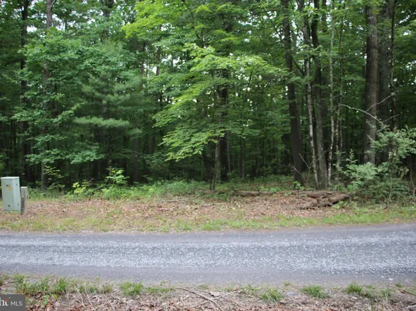 Sarah Ln, Basye, VA 22810