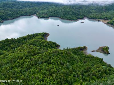 L2b Bear Cv, Homer, AK, 99603