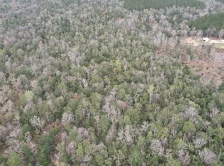 3 Bluff Creek Rd, Wiggins, MS 39577