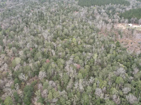 3 Bluff Creek Rd, Wiggins, MS 39577