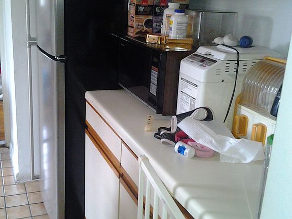 stainless steel frig