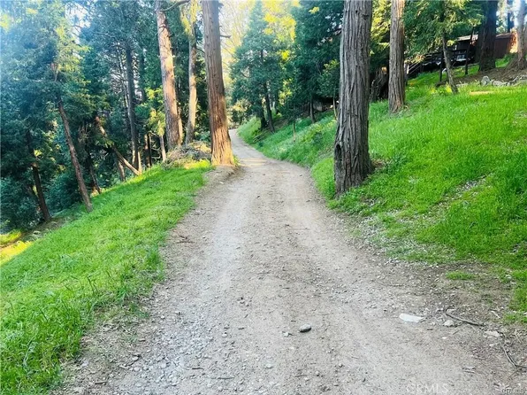 699 Evergreen Dr, Cedarpines Park, CA 92322