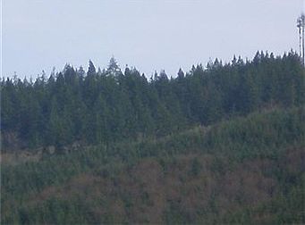 2nd image of 11 Beaver Estates Ln