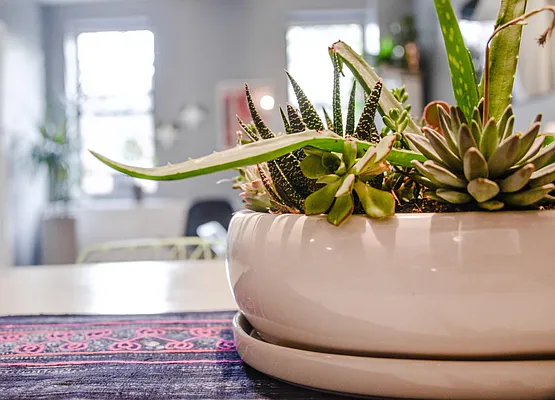 Rented by Compass | media 25