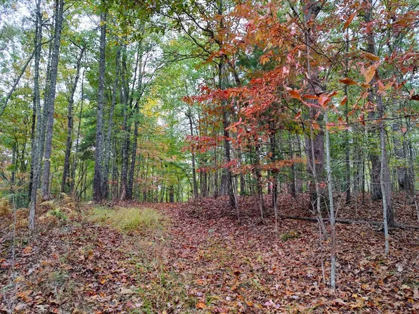 35 Wolf Creek Rd, Mineral Bluff, GA 30559