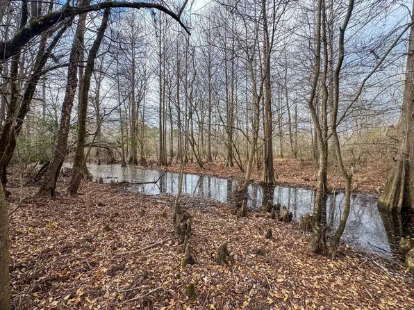 204 Easement Road Off Cres #1619, Linden, TX 75563