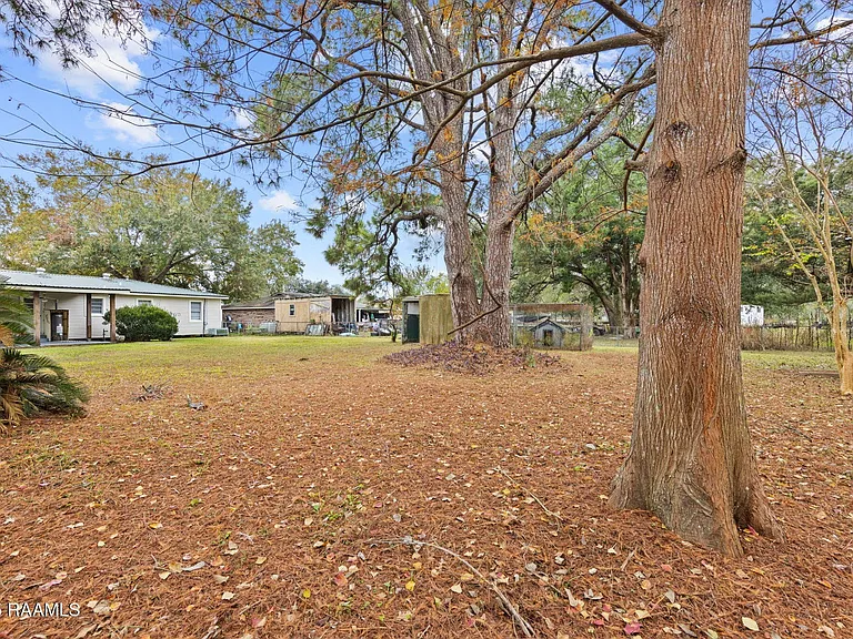 509 San Jacinto Cir — Photo 10