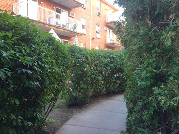 4th image of 31 Cove Ln #6C